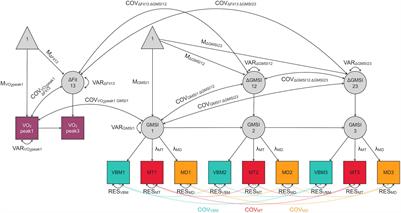 Change in Latent Gray-Matter Structural Integrity Is Associated With Change in Cardiovascular Fitness in Older Adults Who Engage in At-Home Aerobic Exercise